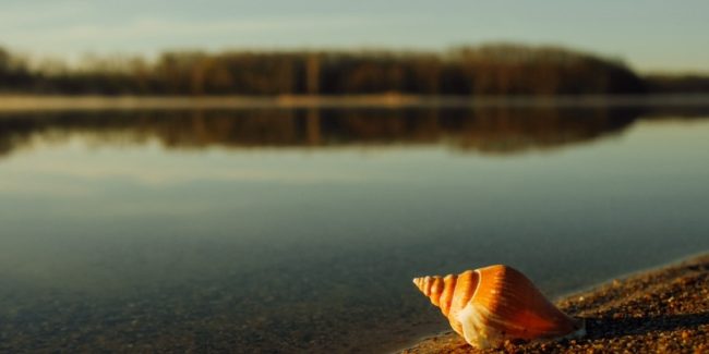 Our Hearing Can Improve