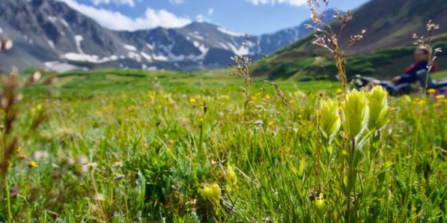 Treasures in the Valley